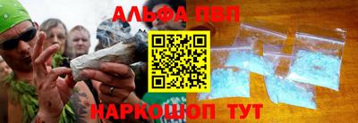 стафф Гатчина