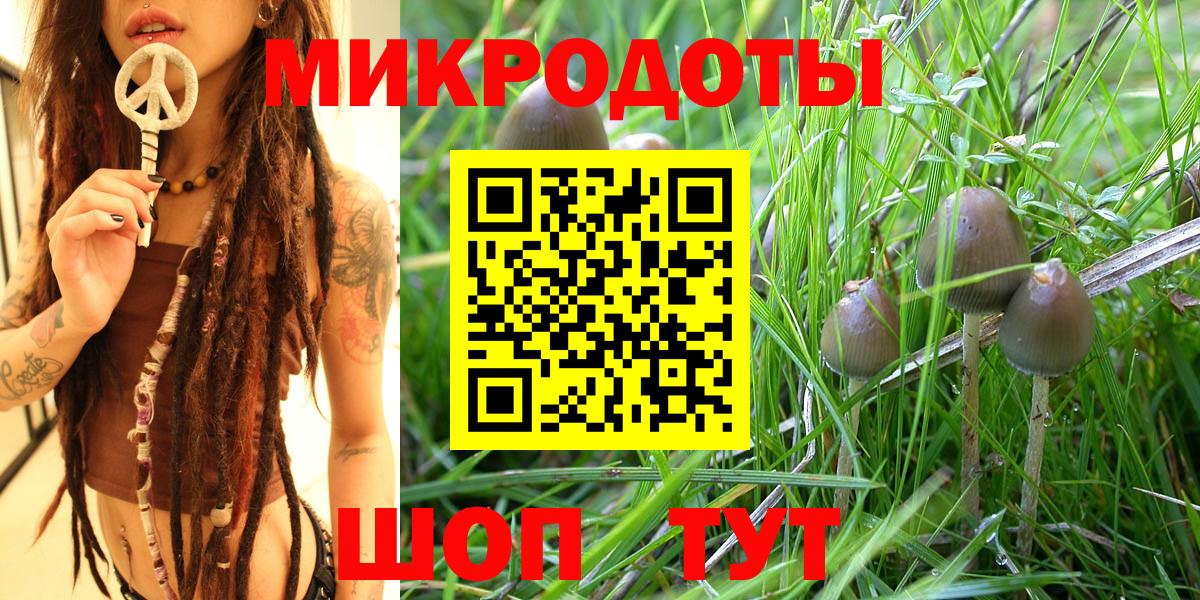 Медногорск  где купить наркотик  Вход с VPN  Галлюциногенные грибы мухоморы 